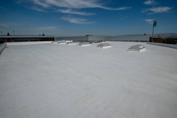 Best Sheet Metal Roofing  in Coeur Dalene, ID